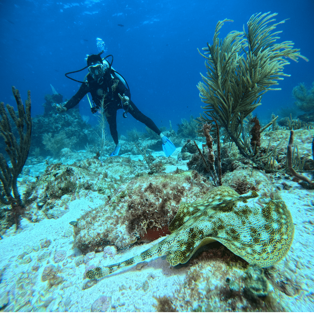 Scuba diving adventure in Cancun